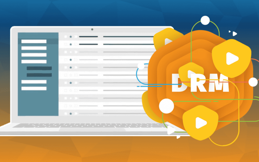 What does DRM cost?