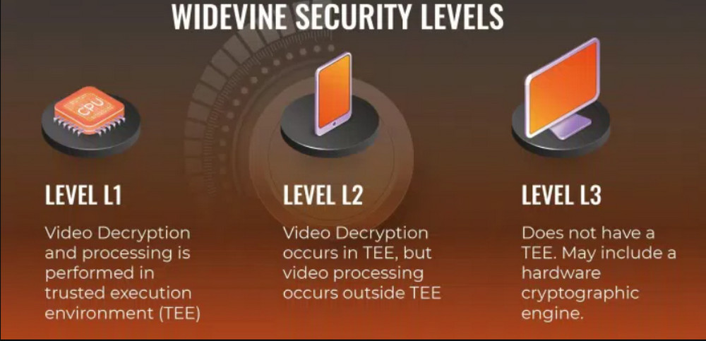 The three levels of Winevine and how they work (Photo: Internet).