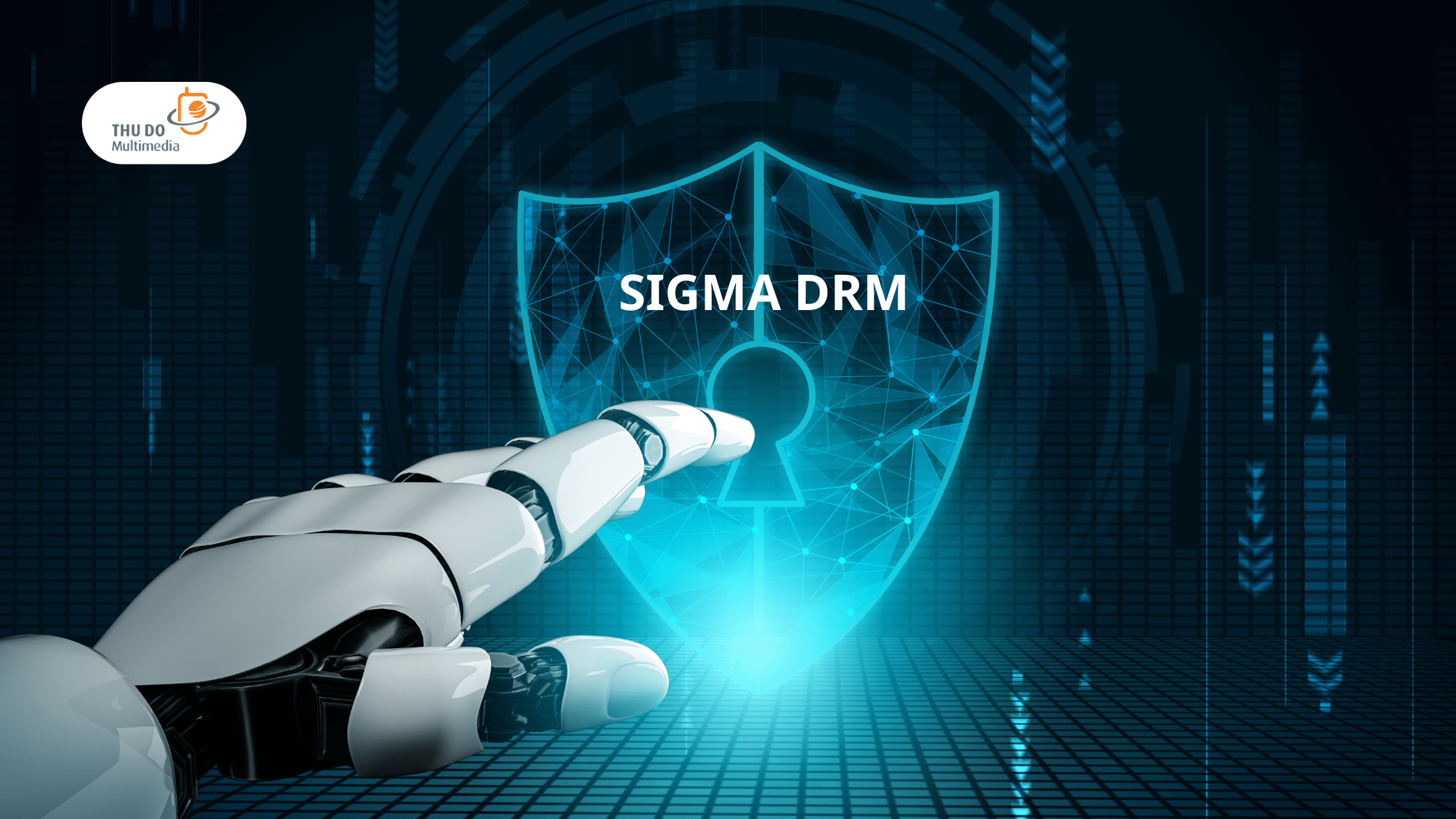 Sigma DRM 